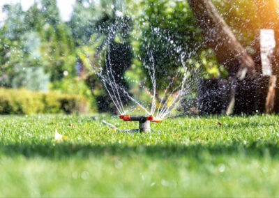 Landscaping and Irrigation